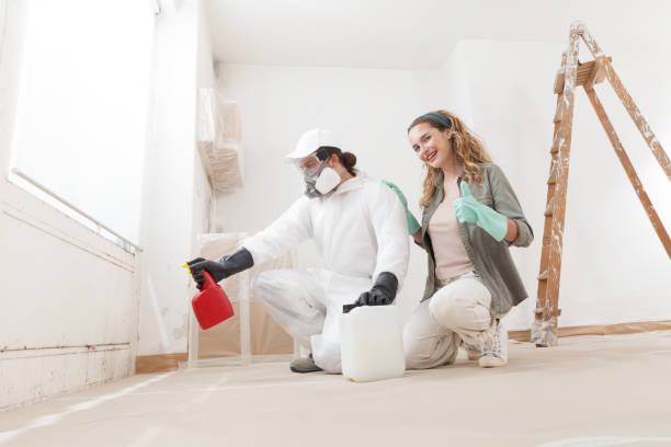 Mold Remediation for Vacation Homes in Harlan, IA